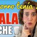 ❤️ ¡DIVIÉRTETE! ❤️ Y Aprende a hablar ESPAÑOL como un NATIVO con historias. «El zorro y la cigüeña»